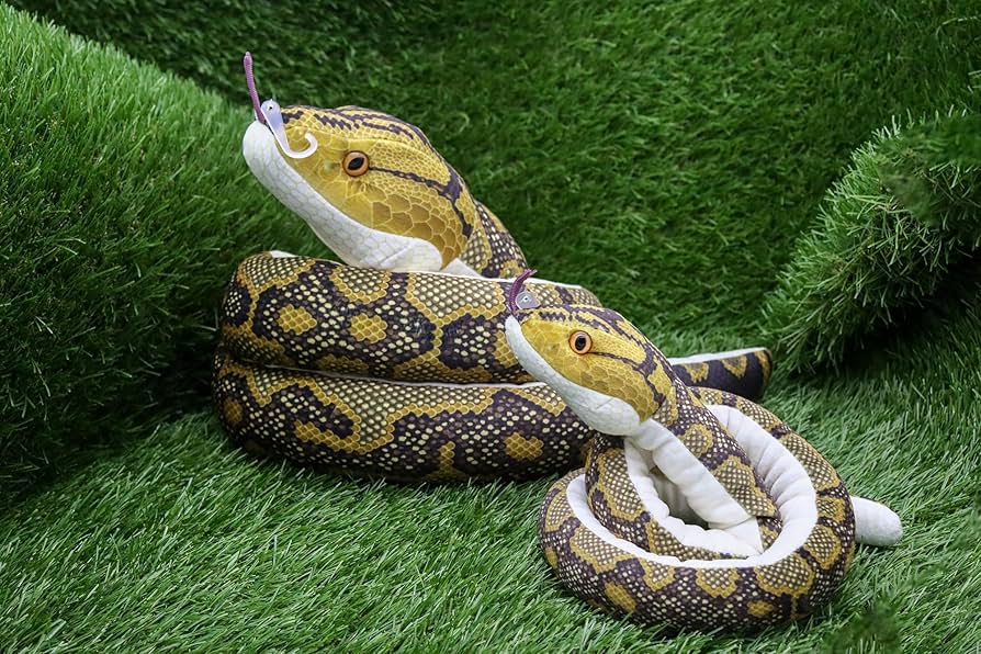 へびさん専用 Snake's Short Summary (Fall 2024 Edition) #Snake's Outdoor